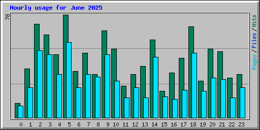 Hourly usage for June 2025