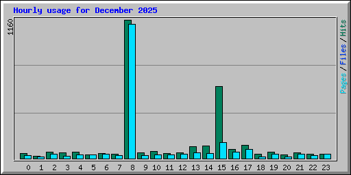 Hourly usage for December 2025