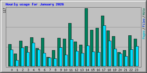 Hourly usage for January 2026